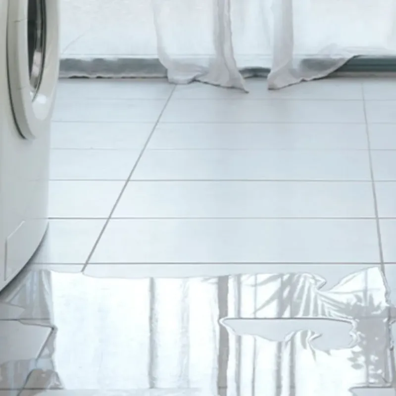 Appliance Leak Cleanup in Williamsport, MD