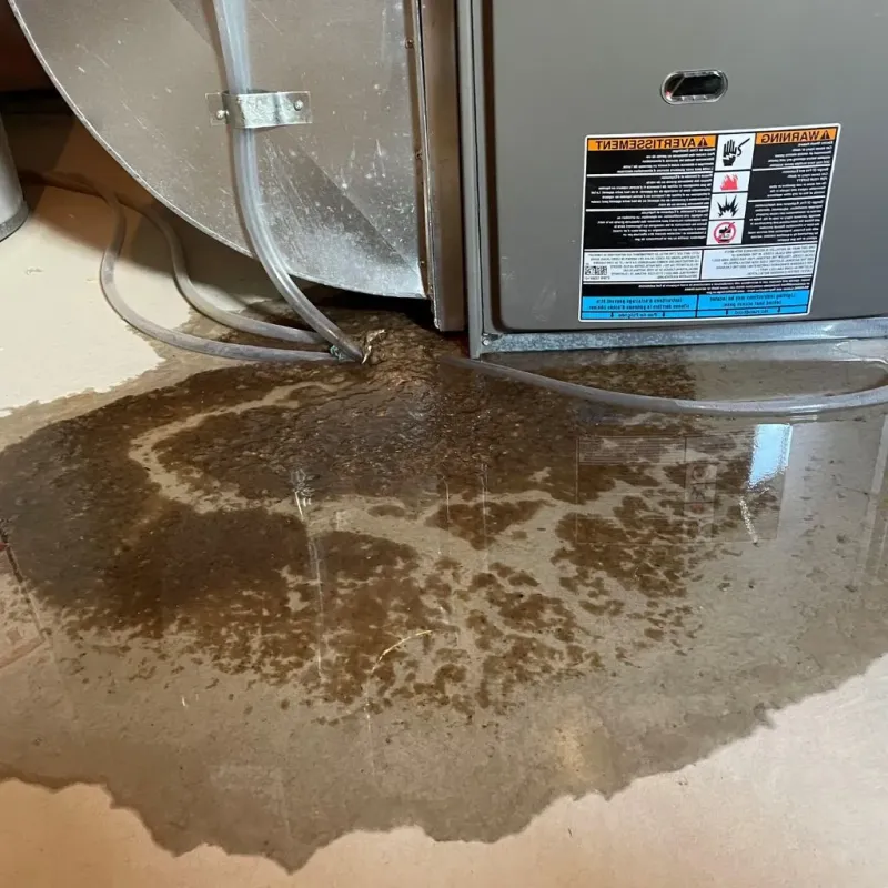 Pipe Burst and Leak Restoration in Williamsport, MD